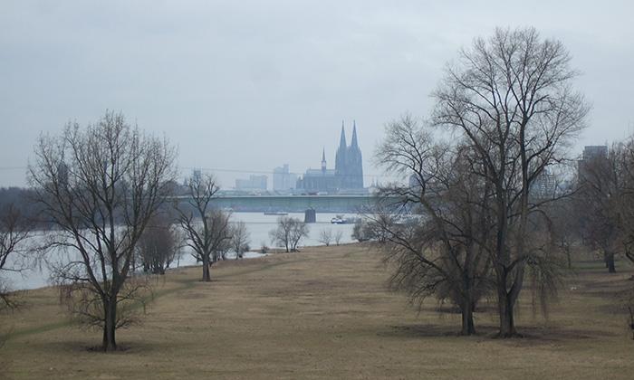 Foto vom Rheinufer mit Blick auf den Dom