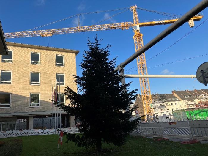 Weihnachtsbaum vor dem Gymnasium an der Baustelle